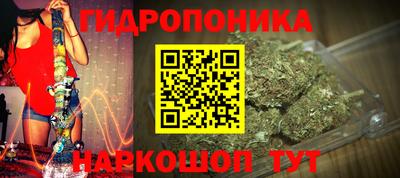 твердый Кингисепп