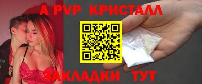 твердый Кингисепп