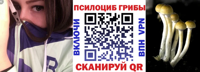 Псилоцибиновые грибы Psilocybe  Кореновск 