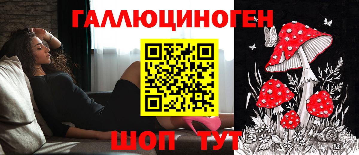 Галлюциногенные грибы Psilocybe Кореновск