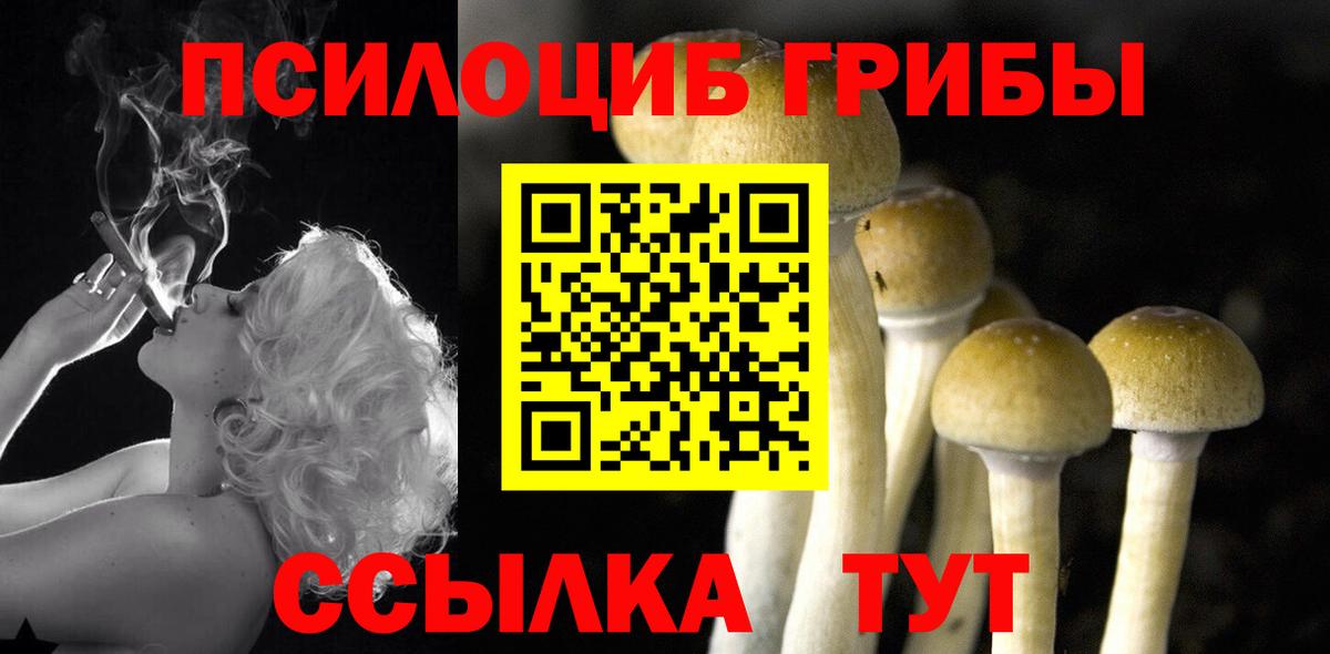 Псилоцибиновые грибы MAGIC MUSHROOMS  Вход с VPN  купить  цена  Кореновск 